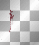 bLood tranparen
