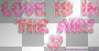 love is in the air ♥