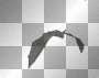 bat anim.