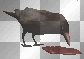 crow animated