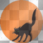 cat Louise♥♥ cat Louise♥♥