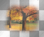 autumn deco transparent tree leaf otoño orange naranja arbol [1ֆ]