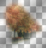 leaf autumn transparent tree orange otoño deco arbol naranja hoja [1ֆ]