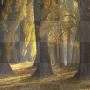 animated fall background +myates7