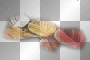 AJESIEN AUTUMN FALL TRANSPARENT DECO