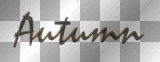 AJESIEN AUTUMN FALL TRANSPARENT text brown