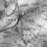 Background butterflies black white 