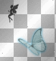 butterfly..