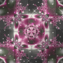 pink & black flowers collide bg ♠sweetterror♠