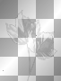 Leaves white deco overlay 