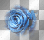 Rose deco Rose deco