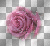 Rose pink deco 