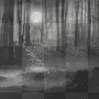 mejserr animated bg