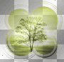 AJESIEN AUTUMN FALL TRANSPARENT TREE GREEN AJESIEN AUTUMN FALL TRANSPARENT TREE GREEN