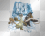 Ice Age