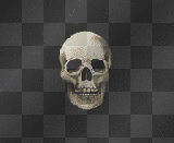skull