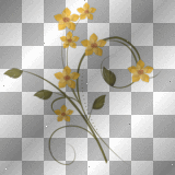 orange, flower, deco