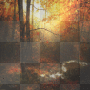 Autumn Background***FI Autumn Background***FI