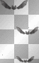 bats..
