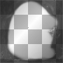 Frame***FI