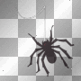 mejserr spider