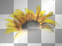 Flower deco yellow 