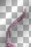 pink liquid