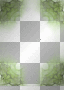 green frame