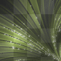 TAPETY BACKGROUND ANIMATED GLITTER GREEN TAPETY BACKGROUND ANIMATED GLITTER GREEN