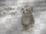 You Eated my Cookie??