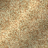 gold glitter