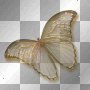 butterfly by b16