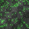Deco_Twilight-Stars_Glitter_BG~Green