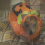 My little Pumpkin