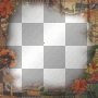 amon // autumn frame