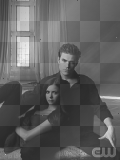 stefan & elena the vampire diaries