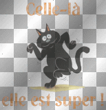 CHAT QUI DANSE