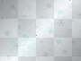 Cora winter background