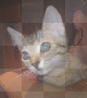 ♥ CAT - by Nina ♥ 1