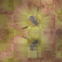 animated flower +myates7 animated flower +myates7