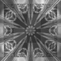 FLASHY BACKGROUND~nEWFIEbEAUTy~