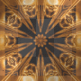 FLASHY BACKGROUND~nEWFIEbEAUTy~