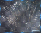 feu d'artifice  poucelina02