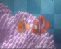 nemo