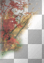 Autumn • Autumn •