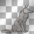 loup wolf twiliht animaux chien