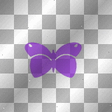 Butterfly purple