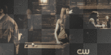 elena and damon