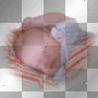 StefaniesJamieThreeMonths~vyk StefaniesJamieThreeMonths~vyk