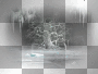 amon // winter background
